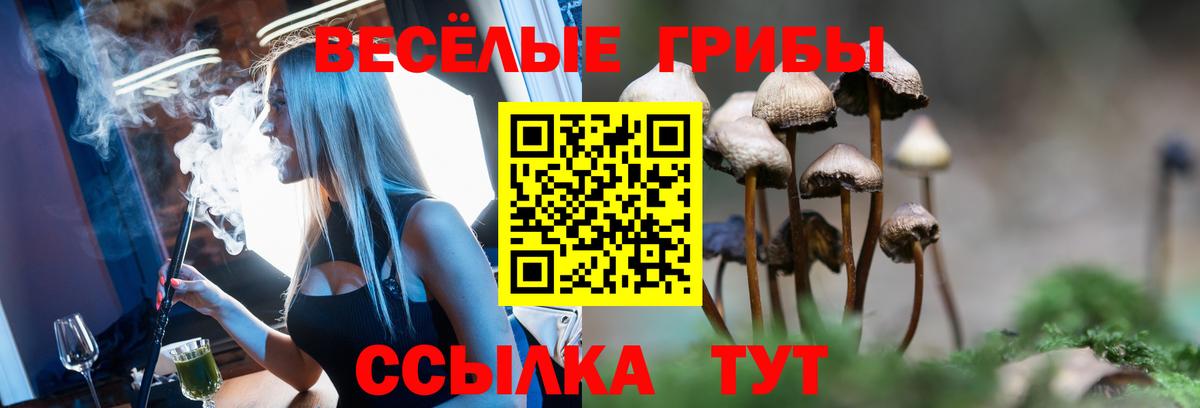 Псилоцибиновые грибы Psilocybine cubensis  Псилоцибиновые грибы GOLDEN TEACHER  Вход с VPN  Лабинск 